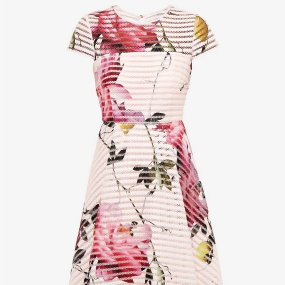 🔥LAST 1🔥NWT TED BAKER FLORAL DRESS - Picture 3 of 10